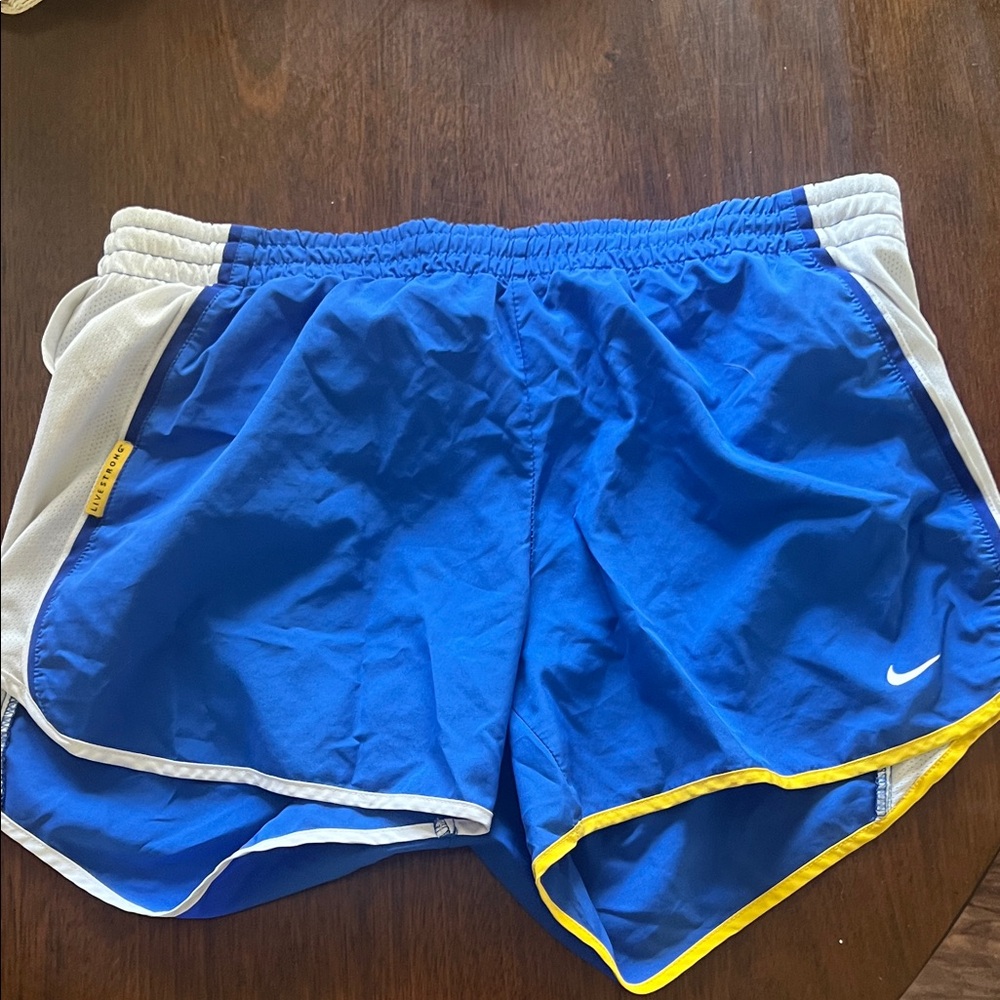 Nike Blue and White Athletic Shorts
